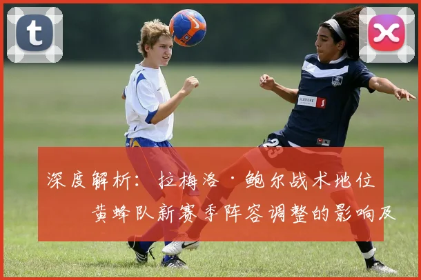 深度解析：拉梅洛·鲍尔战术地位与黄蜂队新赛季阵容调整的影响及未来展望